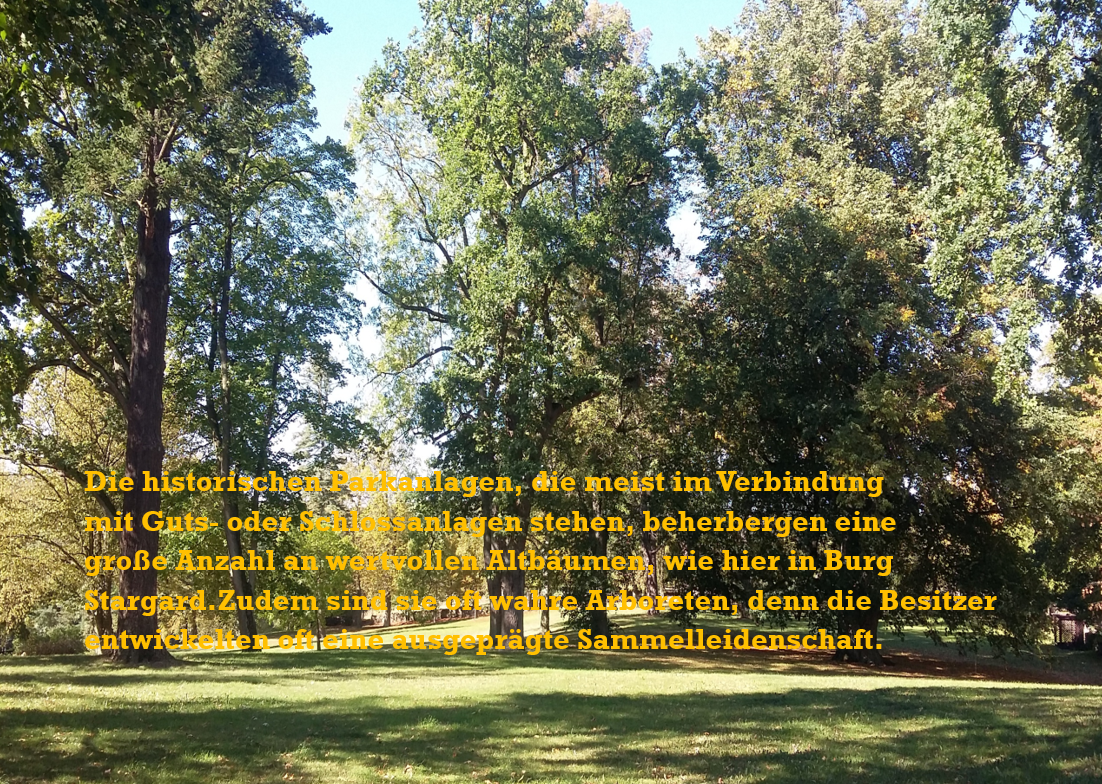 Parkanlagen